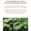 ماسک ورقه ای پروبیو سیکا اسکین 1004 Skin1004 Madagascar Centella Probio-Cica Nourishing Mask