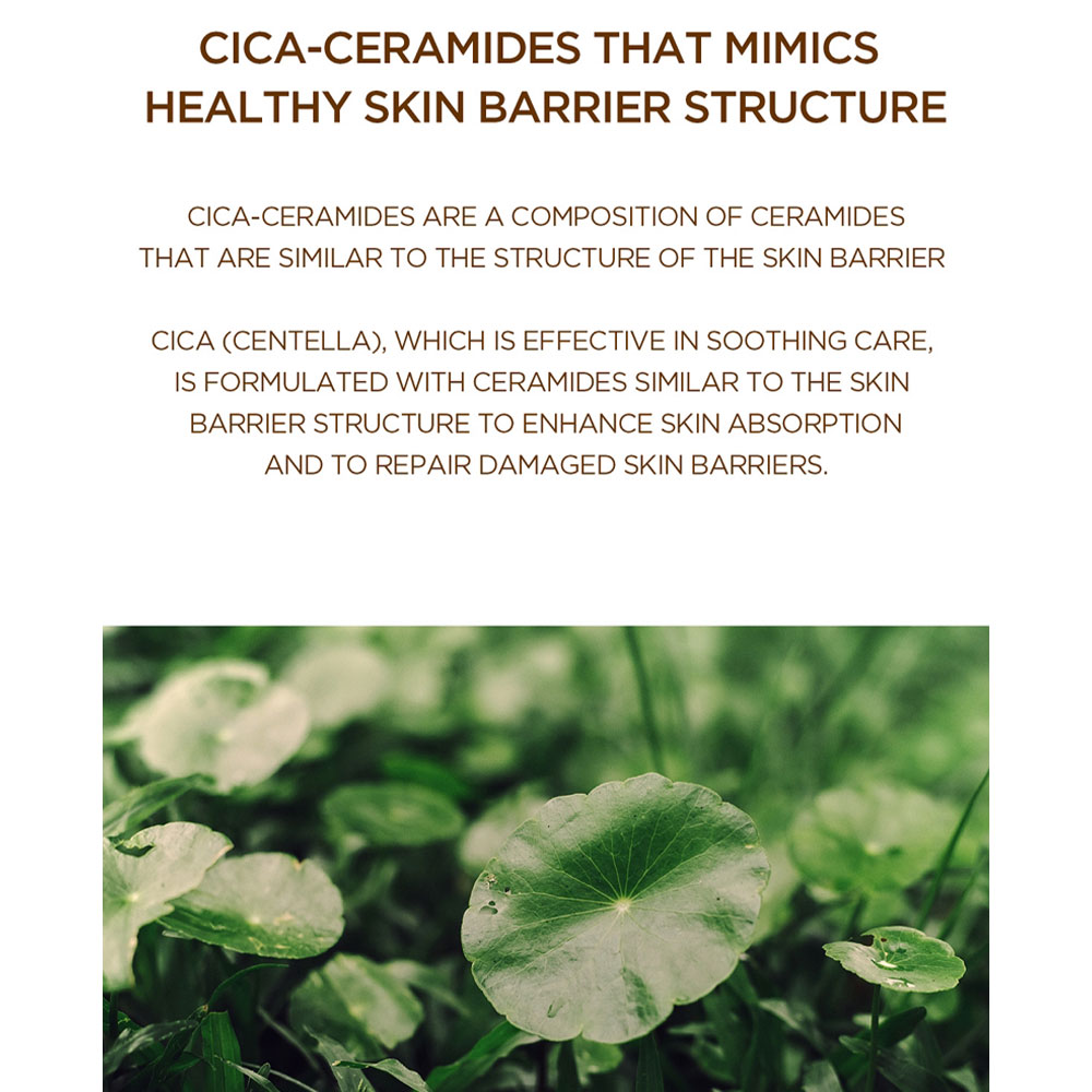 ماسک ورقه ای پروبیو سیکا اسکین 1004 Skin1004 Madagascar Centella Probio-Cica Nourishing Mask