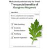 کرم فلوئیدی ماگورت آیم فرام تسکین دهنده قوی پوست I’m from Mugwort Fluid Cream