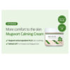 کرم مرطوب کننده و تسکین دهنده ماگورت راندلب Round Lab Mugwort Calming Cream
